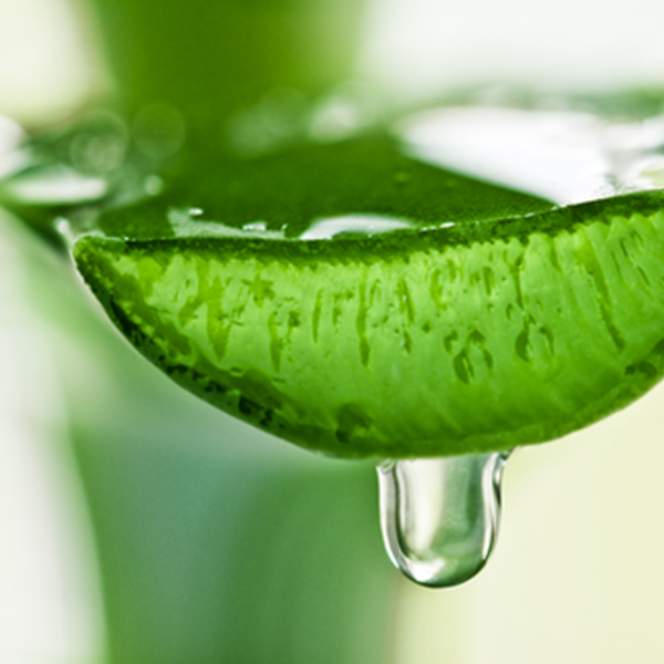 Aloevera Treatment-Organic